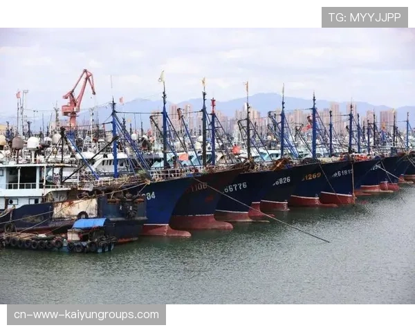 台风带来海鲜盛况,惠州渔业迎丰收,惠州台风停课吗 台风带来海鲜盛况,惠州渔业迎丰收,惠州台风停课吗